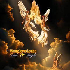 WJL dark angel in disguise ( club mix ) .wav