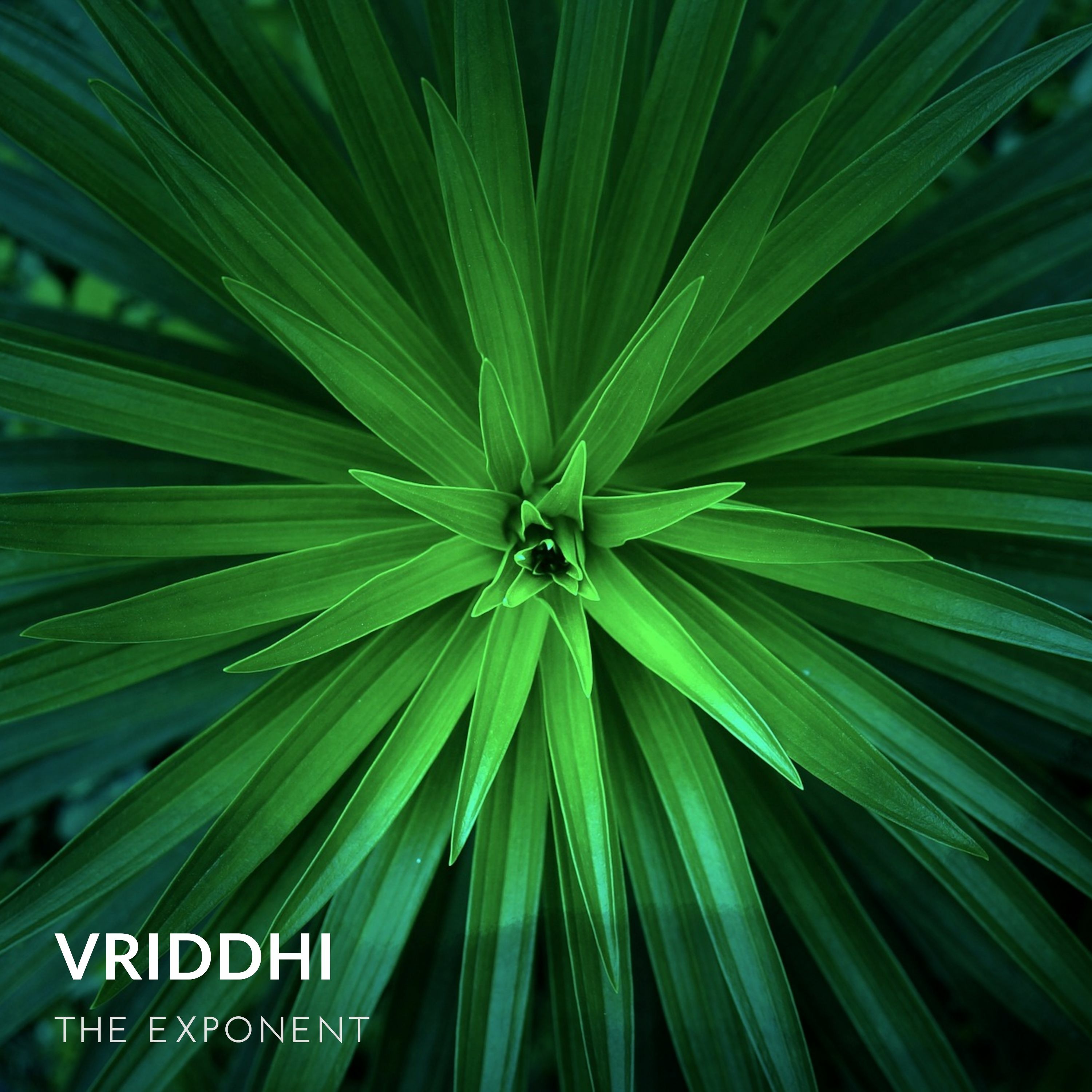 Vriddhi (OSC 130 Phase Plant) episode artwork