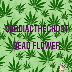 CardiacTheGhost -Dead Flower