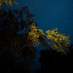 Amongst Leaves & Stars - Live Ambient Improvisation (5/8/25)