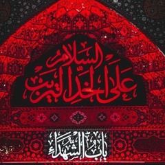 ای جنون آمیز / رضا هلالی