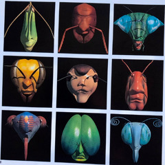 Vinyl only House/techno Set November 25th