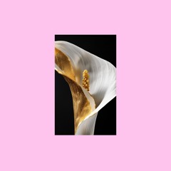 HMWL Premiere: Nordfold - Goldfold (Original Mix) [Flores]