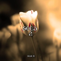 Laboss - Funky Phasing [SEED02]