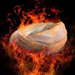 Fuck All You Mullahs