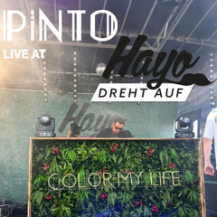 Pinto - live at Hayo dreht auf Festival 2025