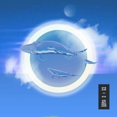 Straim - Disruption