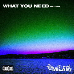 What You Need (feat. Jaxx)