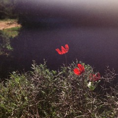 Bau Hatzlilim (Haim Moshe Cover)