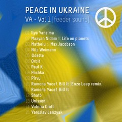 Ramona Yacef, Bill It - Physical Interface (Enzo Leep remix) / PEACE IN UKRAINE VA - vol I