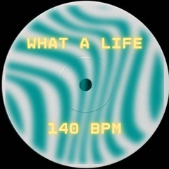 JOHN SUMMIT - WHAT A LIFE (IDENTITY EDIT) [FREE DL]