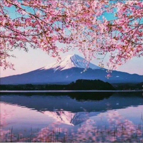 lo fi type beat