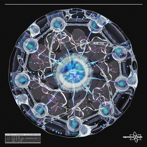 B2 Forest On Stasys - Prism Of Nature (SL011)
