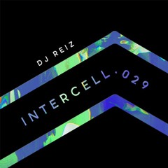 Intercell.029 - DJ Reiz