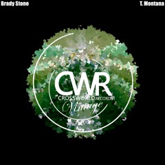 Brady Stone - T. Montana (Original Mix)