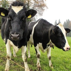 a song about awareness and paranoia