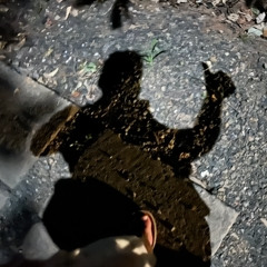 Paradise Point Temple Night