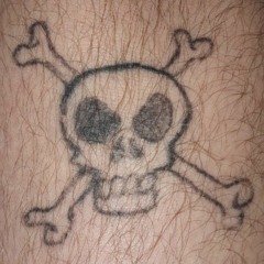 pirates are the cowboys of the sea