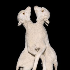 MVLDEOJO mixes