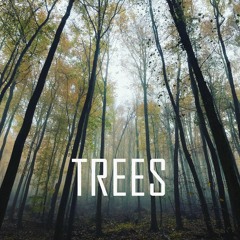 World of trees - Dodge Atmosphere