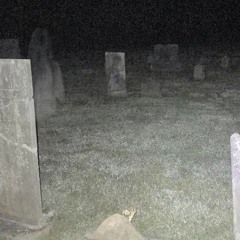 saifnaqvi- ask me. ft. deadlament (prod. reaper)