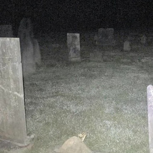 saifnaqvi- ask me. ft. deadlament (prod. reaper)