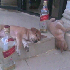 Beyoncé - Drunk in Love  amapiano edit