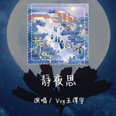 Vvy王泽宇 - 静夜思 「灯影摇碎旧巷口青石板上雨初收」【動態歌詞/Lyrics Video】 #Vvy王泽宇 #静夜思#動態歌詞