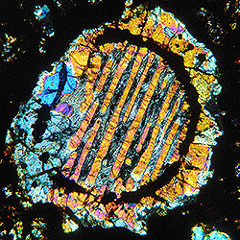 🌒🌓🌔🌕🌖🌗🌘