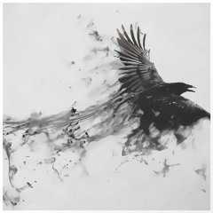 Fly Like a Crow (You Didn't Know?) - Hip-hop / Rap Beat - 147 BPM