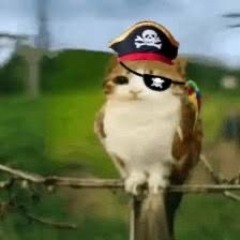 pluggnplunder