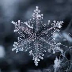 Set_ Indachin Winter Edition-2024