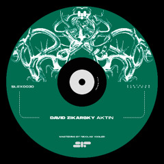 David Zikarsky - Aktin [SLRX0030]