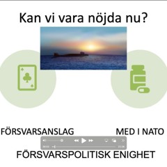 Sverige i Nato - är vi nöjda nu
