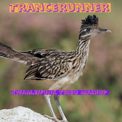 Trancerunner (kwam.e/funk tribu edit)