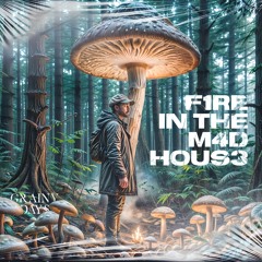 Fire in the mad house