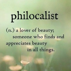Philocalist - MishÇhief Nov