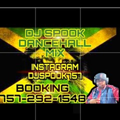 DJ SPOOK DANCEHALL MIX