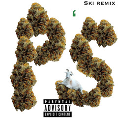 SKI REMIX (P’s)