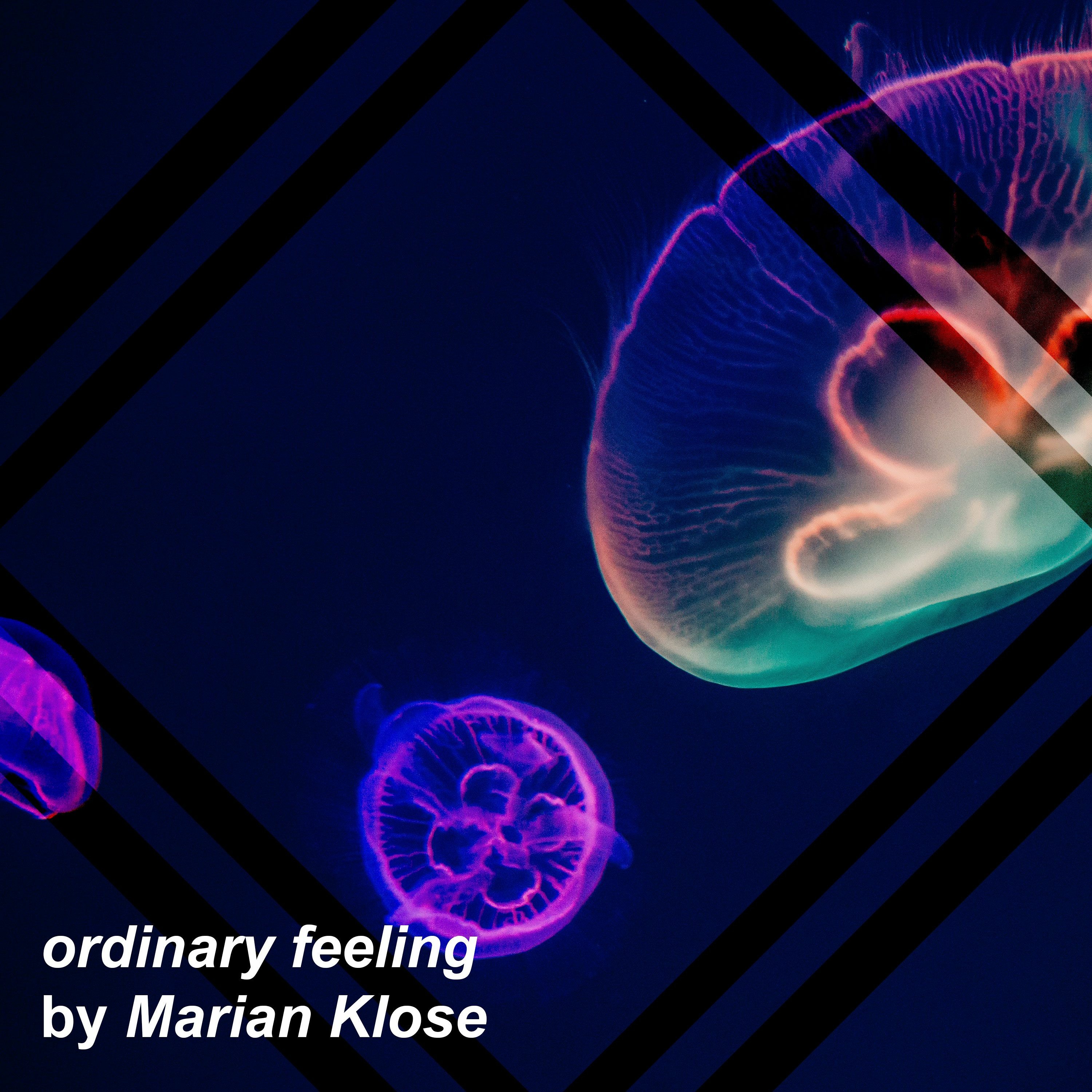 [FUNKY DANCE] ordinary feeling (Original Mix) episode artwork