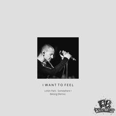 I Want To Feel (Linkin Park - Somewhere I Belong - Remix)