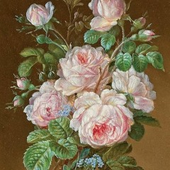 wifi [prod. silo x goyxrd]