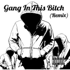 Gang In This Bitch - Remix