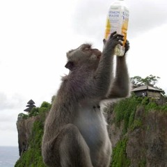 drinks drinks with more drinks