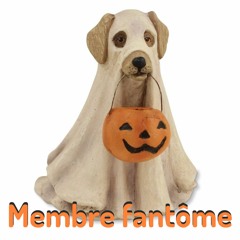 Membre fantôme