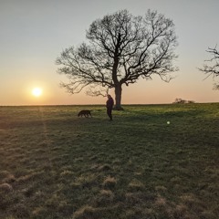 This light never fades