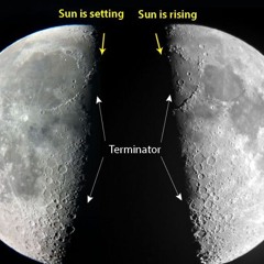 Dans je Licht 17 @ The Super Moon Tree 💰