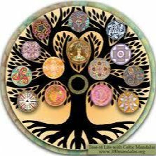The Tree Of Life (From a certain point of view) - OFFICIAL VIDEO