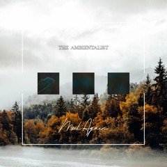 The Ambientalist - Meet Again