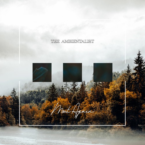 The Ambientalist - Meet Again